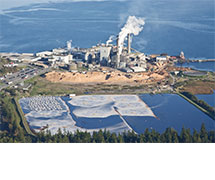 Chlorine Dioxide Bleaching