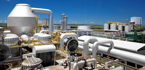 Sugar Cane Processing Facility