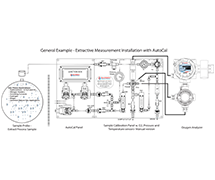 Optical Oxygen Analyzer Sample System Example 