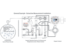Optical Oxygen Analyzer Extractive Application Installation Example