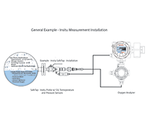 Optical Oxygen Analyzer Retractable Application Installation Example