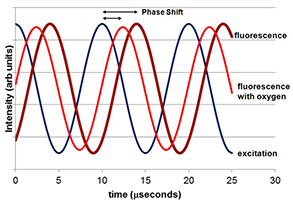 Oxygen Phase Shift